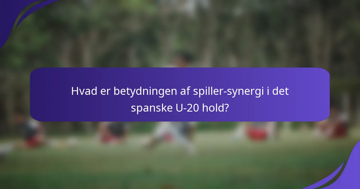 Hvad er betydningen af spiller-synergi i det spanske U-20 hold?
