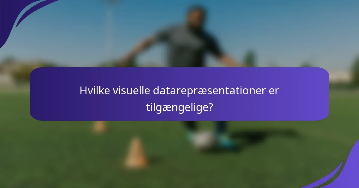 Hvilke visuelle datarepræsentationer er tilgængelige?